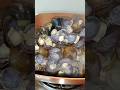 Ginisang Tulya Fypシ Food Tulya Clamsrecipe Ginisang Tulya Fypシ Food Tulya Clamsrecipe