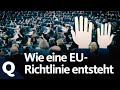 So entsteht eine EU-Richtlinie | Quarks