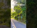 This is little forest in phuket#phuket #chiangmai #thailand
