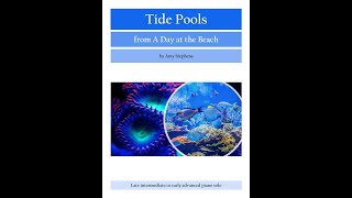 Tide Pools by Amy Stephens