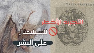 تجربه غريبه بالعقل الباطن على البشر 🧠