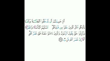 2 - سورة البقرة ٢١٤ - مشاري بن راشد العفاسي