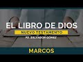 El Libro de Dios: Libro por Libro | Marcos | Ps. Salvador Gómez