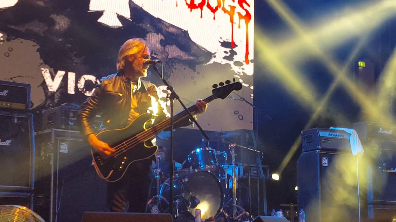 Guarda Slaughter & The Dogs "Situation" Rebellion Festival, Winter Gardens, Blackpool, UK 8/7/16 su YouTube Guarda Slaughter & The Dogs "Situation" Rebellion Festival, Winter Gardens, Blackpool, UK 8/7/16 su YouTube