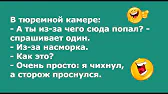 В гостях у Кузи