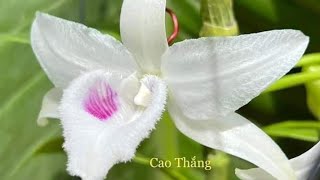 E chào các cụ !..tất tay ạ .0974691222