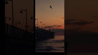 Dedublüman - Aleyna Tilki - Sana Güvenmiyorum