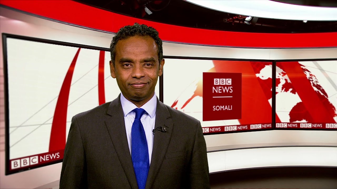 Newcastle oo la soo wareegtay weeraryahanka reer Brazil ee Joelinton - BBC  News Somali