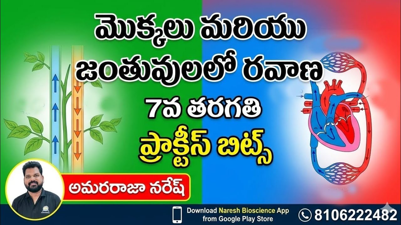 మొక్కలు మరియు జంతువులలో రవాణా||7వ తరగతి| ప్రాక్టీస్ బిట్స్ 
