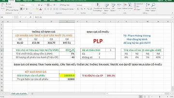 Định giá cổ phiếu #HAP và cổ phiếu #PLP Q1/2021