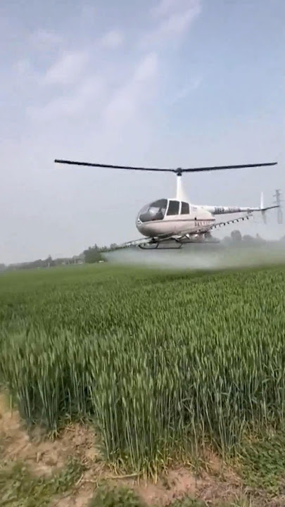 Menyiram Tanaman di Sawah Menggunakan Helikopter #shorts