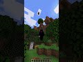 【マイクラ】全部できたら本物のプロ！！超激ムズ着地