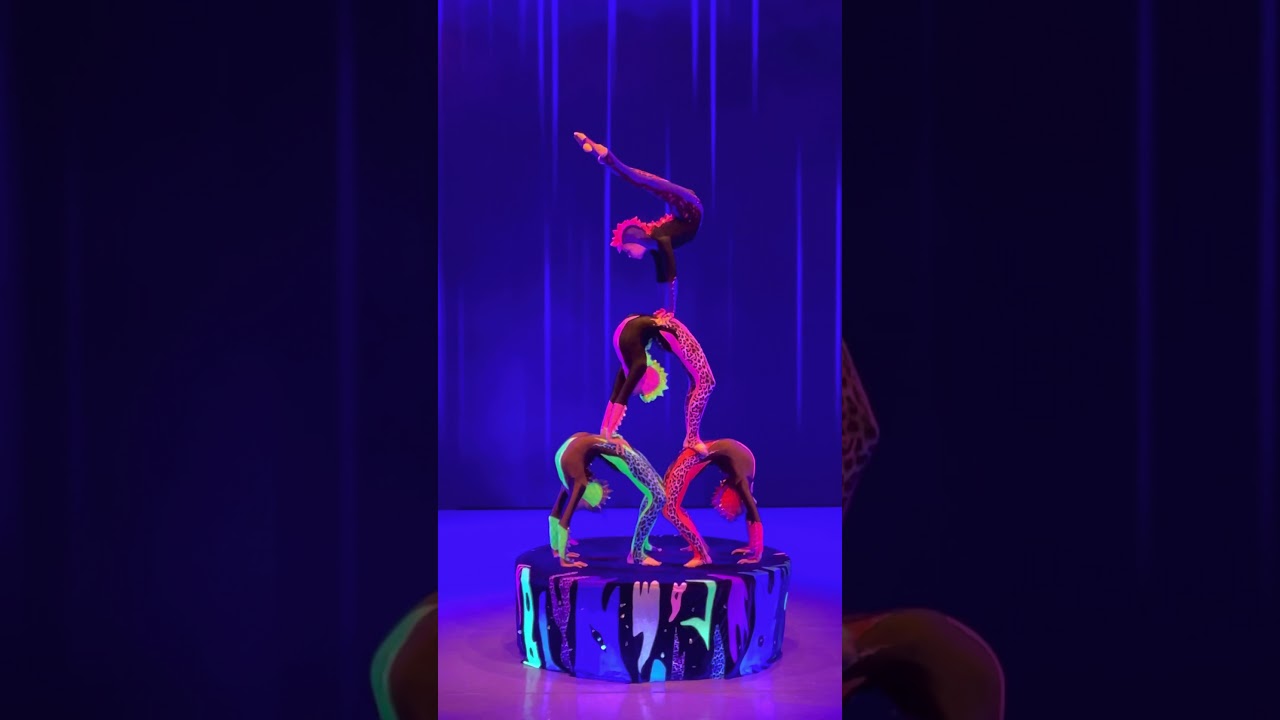 Contortions group’s 2021