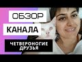 Четвероногие Друзья - Обзор канала