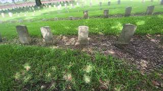 The Freedmen's Cemetary  "The Spot" by William Elder  Venmo: @WILLIAM-ELDER-30358