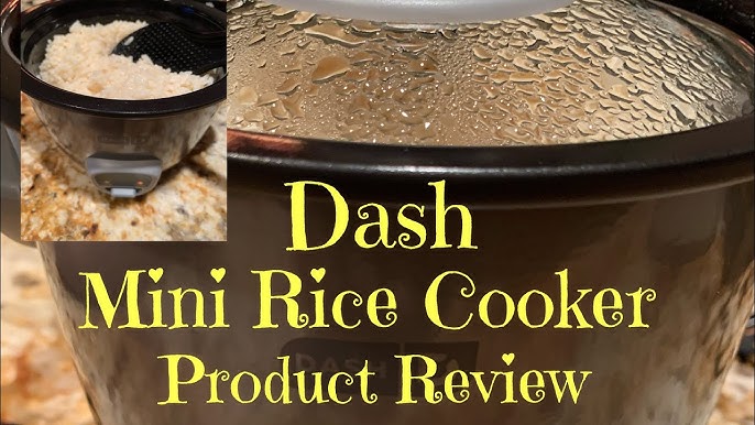 Rise By Dash Mini Rice Cooker Steamer with Removable Non-stick Pot, Keep  Warm Function & Recipe Guide, 2 cups