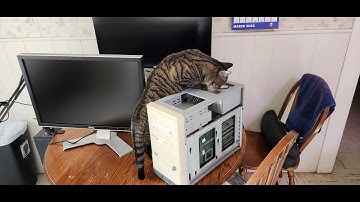 Windows 95 Update, It Lives!!