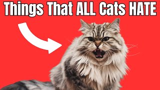 14 Things Cats HATE (The Last one is SO Unexpected)