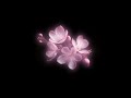 Random Sped Up Slowed Edit Audios For U To Dance In Ur Room Pt48 Timestamps 