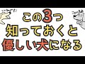 【しつけ初心者向け】しつけ始めるならまずはコレ見て！上手くいく3つの知識