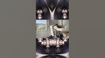 Modular Photosynthesis| Mutalbe Instruments Rings