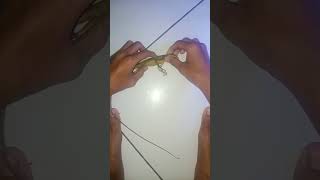 Download Lagu hipnotis bunglon surai .broncochela jubata MP3