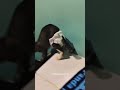 I Bet You Can T Finish This Without Laughing I Bet You Can T Finish This Without Laughing