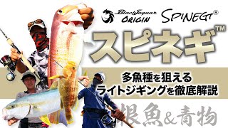 【スピネギ×根魚&青物】多魚種を狙えるライトジギングを徹底解説