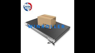 Celebrity WINROLLER drum motor for logistics transferring and sorting#roller #conveyor #logistics #automation Wealth