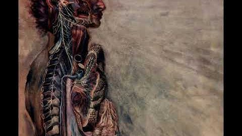 02 ◦ Fear and the Nervous System - Choking Victim   (Demo Length Version)