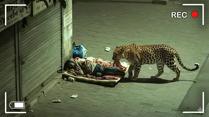 This was really filmed on camera 😱