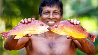 Red Snapper Fried is So Delicious - Red Snapper Fish Cooking Recipe