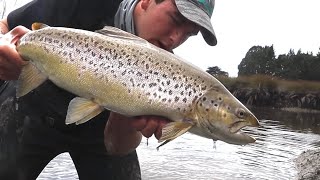 BIG estuarine BROWN TROUT on soft plastics