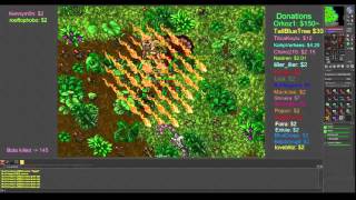 Tibia, forbidden lands booter