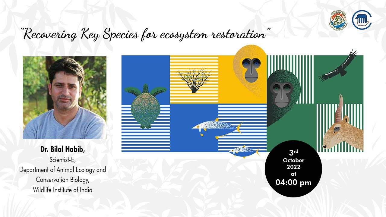Recovering Key Species for ecosystem restoration - YouTube