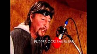 Video thumbnail of "FLIPPER ÖCSI-VÁGTÁZÓ ANGYAL!(ÖCSINEK AZ UTOLSÓ DALA)"