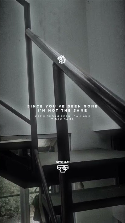 Hard To Say - The Used - Story WA - Lirik Terjemahan #shorts