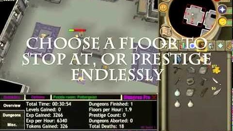 Runescape Dungeoneering Bot - New Botnuke Compatible UPDATE - 2012!