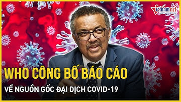 WHO công bố báo cáo mới nhất về nguồn gốc đại dịch Covid - 19 sau 3 năm điều tra | Báo VietNamNet
