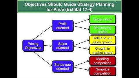 Chapter 17 Video Overview