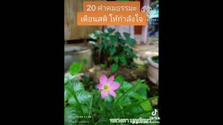 รวม 20 คำคมธรรมะเตือนสติ ให้กำลังใจตัวเอง