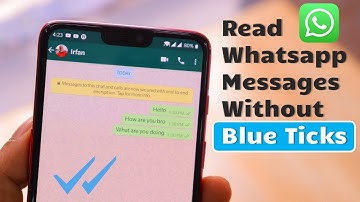 How to Read Whatsapp Messages Without Blue Tick