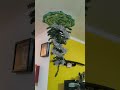 Árvore de Natal do Rick e Morty