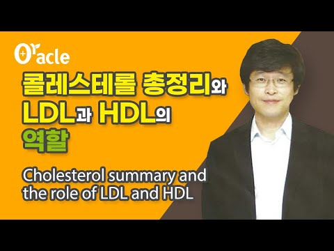 콜레스테롤 총정리와 LDL과 HDL의 역할