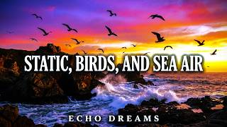 Static, birds, and sea air - Echo Dreams | immersive sound for working