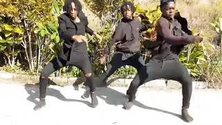 Skillibeng - TWani - honda ft dreamteam dancers 2020