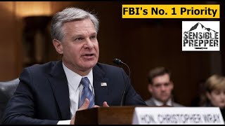 Official FBI Warning : The No. 1 Domestic threat to the U.S. by SensiblePrepper 64,920 views 5 months ago 11 minutes, 58 seconds