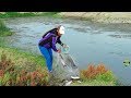 Mira así Pesca Esta Mujer Lisas Grandes con Atarraya - Pesca con Atarraya 2018