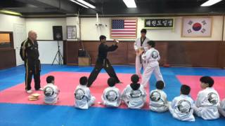 LEO taekwondo screenshot 5