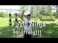 Squirrel Ninja Rope Course!  Bird Feeders SAFE at last!!